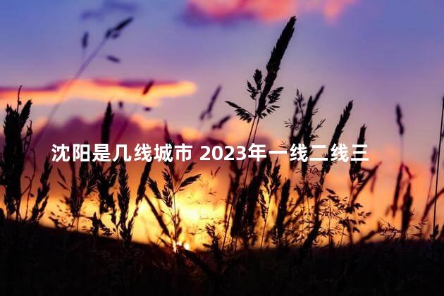 沈阳是几线城市 2023年一线二线三线城市